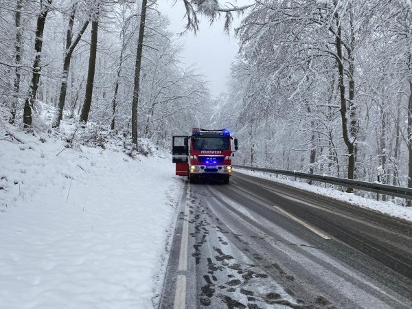 Baum auf Straße